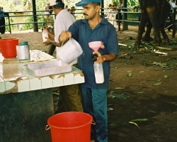  2003 Indien - Sri Lanka &raquo; Colombo_Kandy