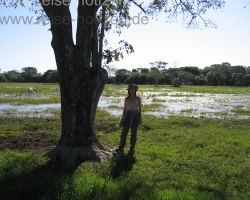 2008 Brasilien &raquo; Pantanal