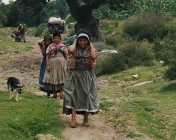 2002 Mexiko - Guatemala - Belize &raquo; Quetzal_Santa_Maria