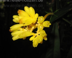BRA_2008_img_4094