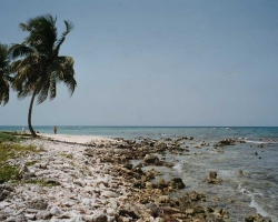golfs_caye2