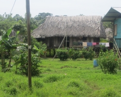 Boccas del Toro - Mancanillo
