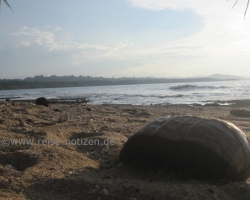 Boccas del Toro - Mancanillo
