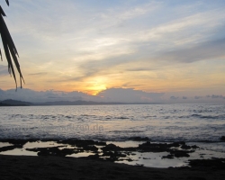 Boccas del Toro - Mancanillo