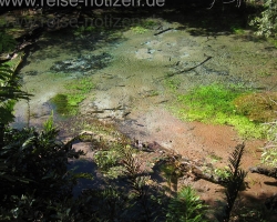 2008 Brasilien &raquo; Bonito