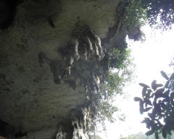 Niah Caves - Brunei - Sabah 1. Teil