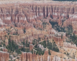 P1060841
