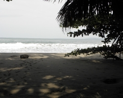 Cahuita