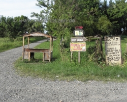 Cahuita