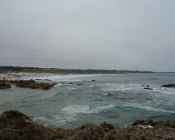 DSC01140