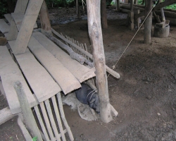P7300228