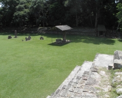 P7220286_800