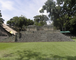 P7220303_800