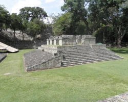 P7220306_800