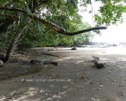 2015 USA Mittelmerkika Karibik &raquo; 2015 Costa Rica Corcovado NP Drake Bay