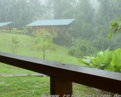 2015 USA Mittelmerkika Karibik &raquo; 2015 Costa Rica Corcovado NP Drake Bay