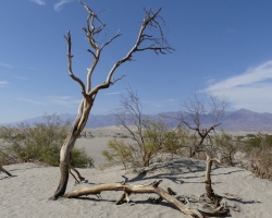 Death Valley