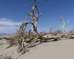 Death Valley