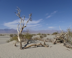 Death Valley