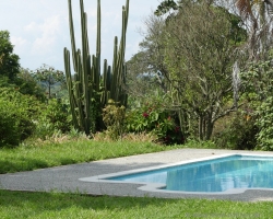 Finca de Cafe El Balso