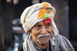 Indien_2025 &raquo; Holi-Fest 2025