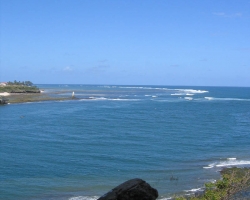 AFR_2005_img_3584