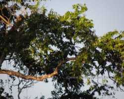P7220486_1000