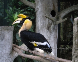 Kuala Lumpur - Vogelpark