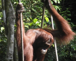 P7020080_800