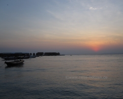 IMG_0132_800