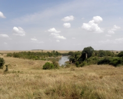 Masai_Mara
