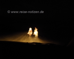 Meeresschildkröten 