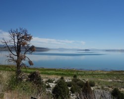 2017 Südwest USA &raquo; Mono Lake