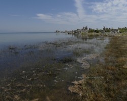 2017 Südwest USA &raquo; Mono Lake