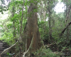 Ometepe