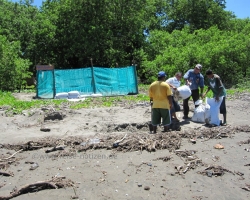 Padre Ramos Nationalreservat - Schildkrötenprojekt 