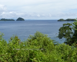 P1010119_1200
