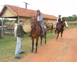 2008 Brasilien &raquo; Pantanal