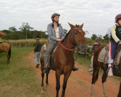 2008 Brasilien &raquo; Pantanal