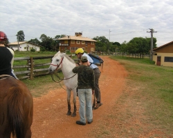 2008 Brasilien &raquo; Pantanal