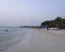 IMG_0532_800