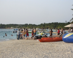 IMG_0568_800