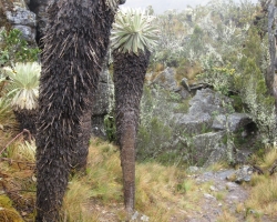 2015 Kolumbien: Sogamoso