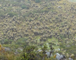 2015 Kolumbien: Sogamoso