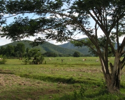 P7260159