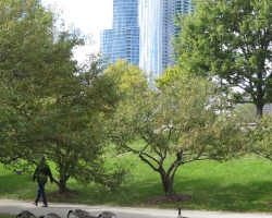 2015 USA Chicago