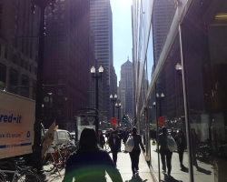 2015 USA Chicago