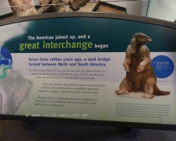 2015 USA Mittelmerkika Karibik &raquo; 2015 USA Chicago