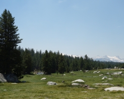 Yosemite NP