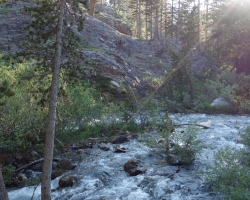 Yosemite NP